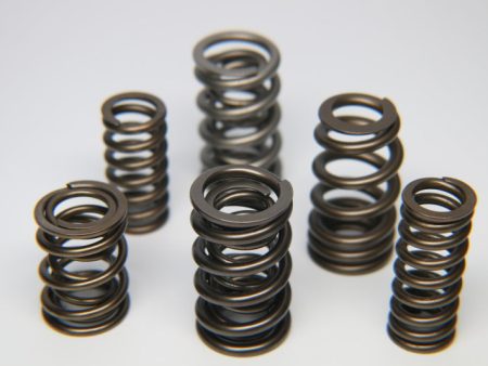 Ferrea 1.600in to 1.650in Dia 1.080 1.625 OD 0.767 1.189 ID Dual w Damper Spring- Sngl (D S Only) Online