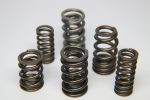 Ferrea 1.225in to 1.570in Dia 1.005 1.43 OD 0.73 1.07 ID Dual w Damper Valve Spring - Set of 16 Discount