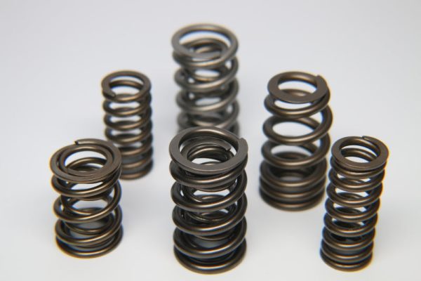 Ferrea 1.225in to 1.570in Dia 0.925 1.24 OD 0.66 0.915 ID Dual w Damper Valve Spring - Set of 16 Discount