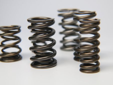 Ferrea 1.600in to 1.650in Dia 1.080 1.625 OD 0.767 1.189 ID Dual w Damper Valve Spring - Set of 16 Online now