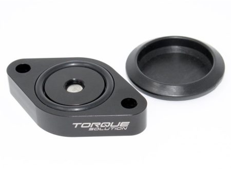 Torque Solution Sound Symposer Delete 2013+ Ford Focus ST Fashion